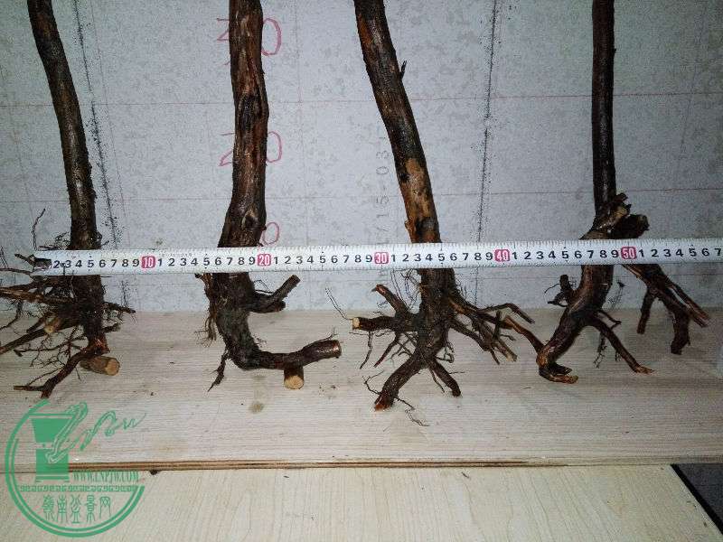 755145