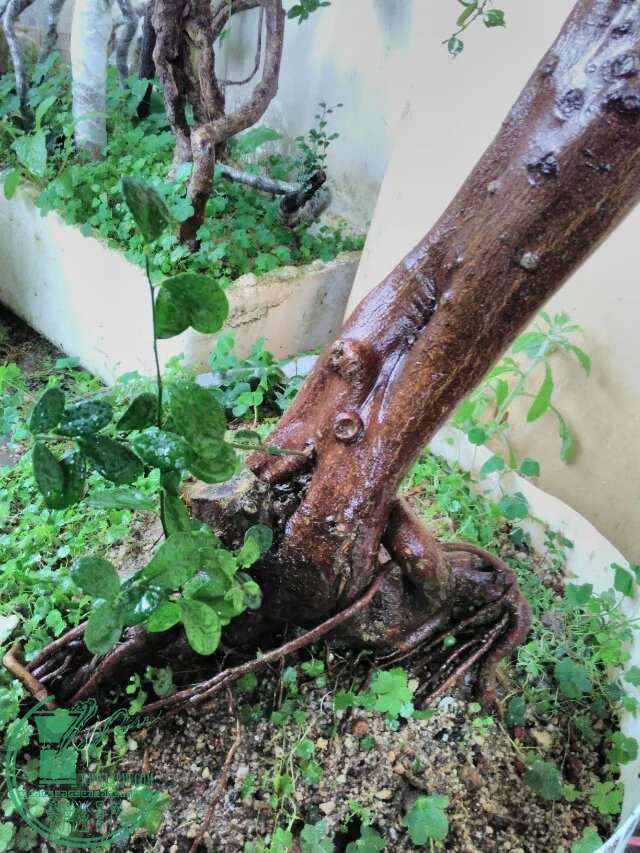165.jpg