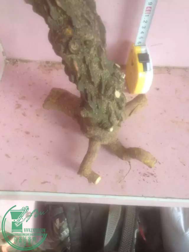 psb2.jpeg