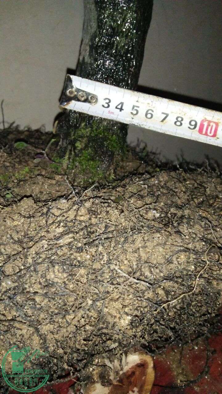 QQͼƬ20160304105253.jpg