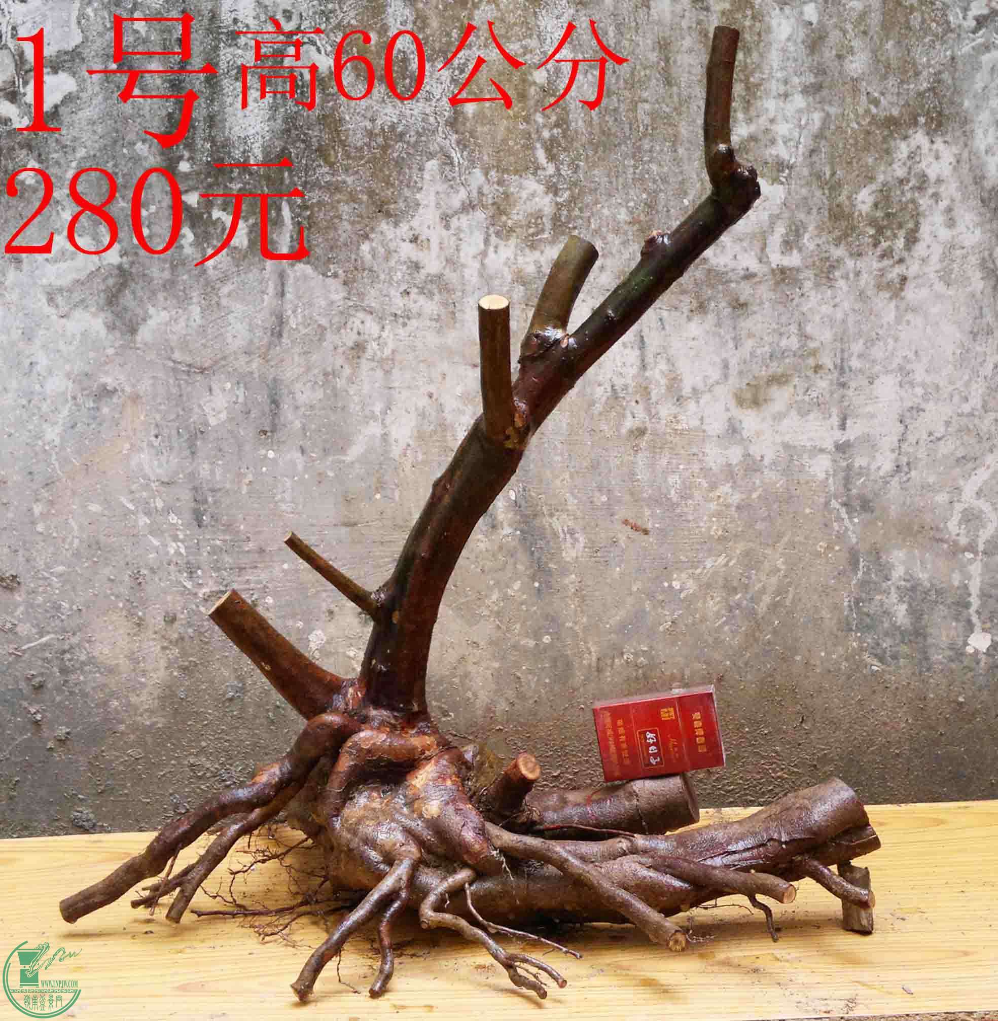 2016030311439.jpg