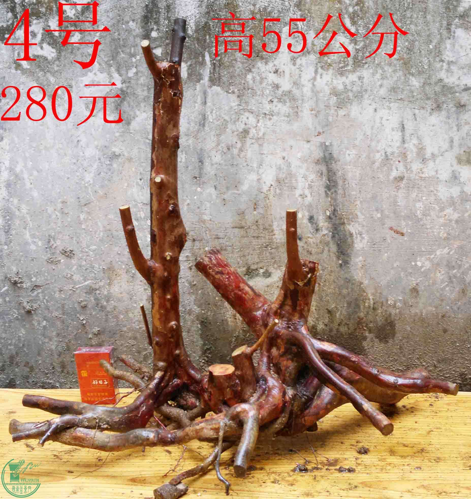 2016030311538.jpg