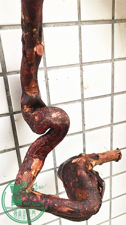 2_.jpg