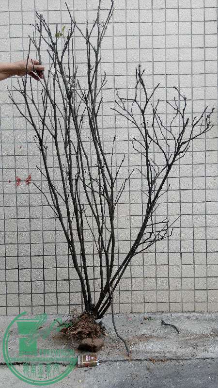 755727