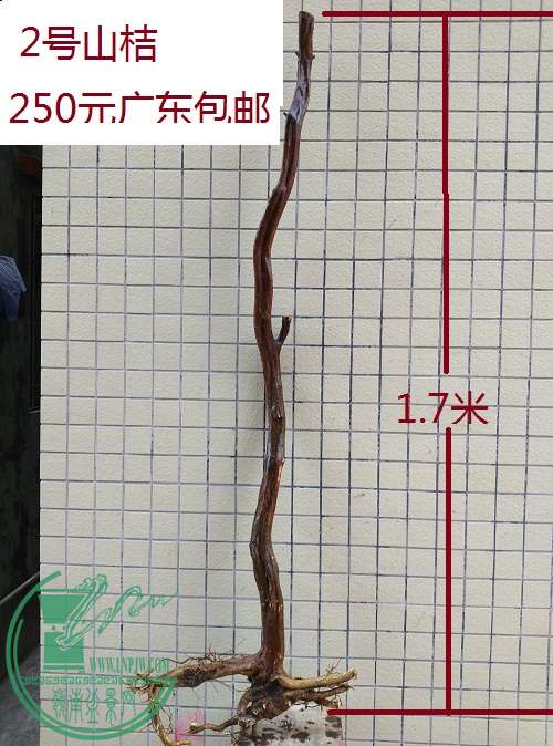 QQͼƬ20160304194724.jpg