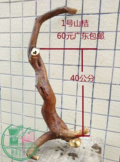 QQͼƬ20160304194650.jpg