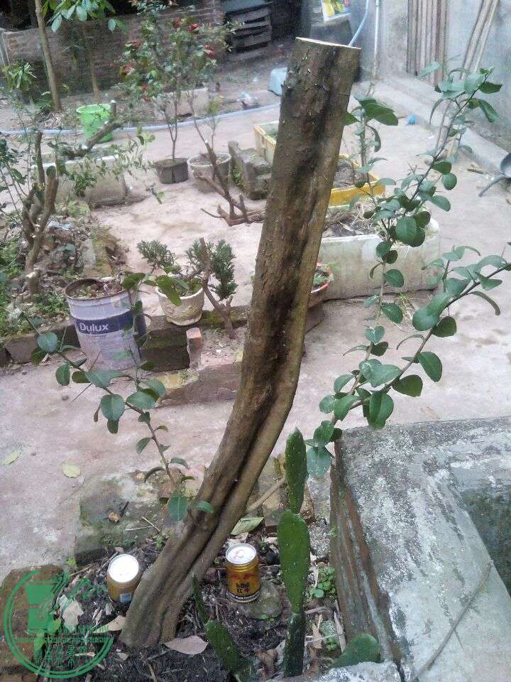 QQͼƬ20160304172739.jpg