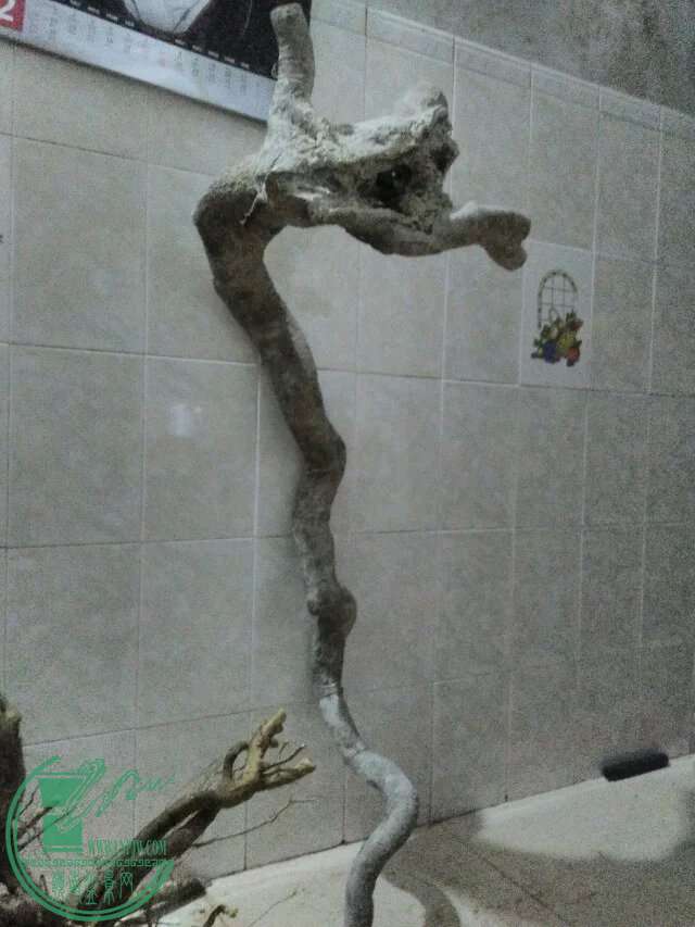 psb96.jpeg