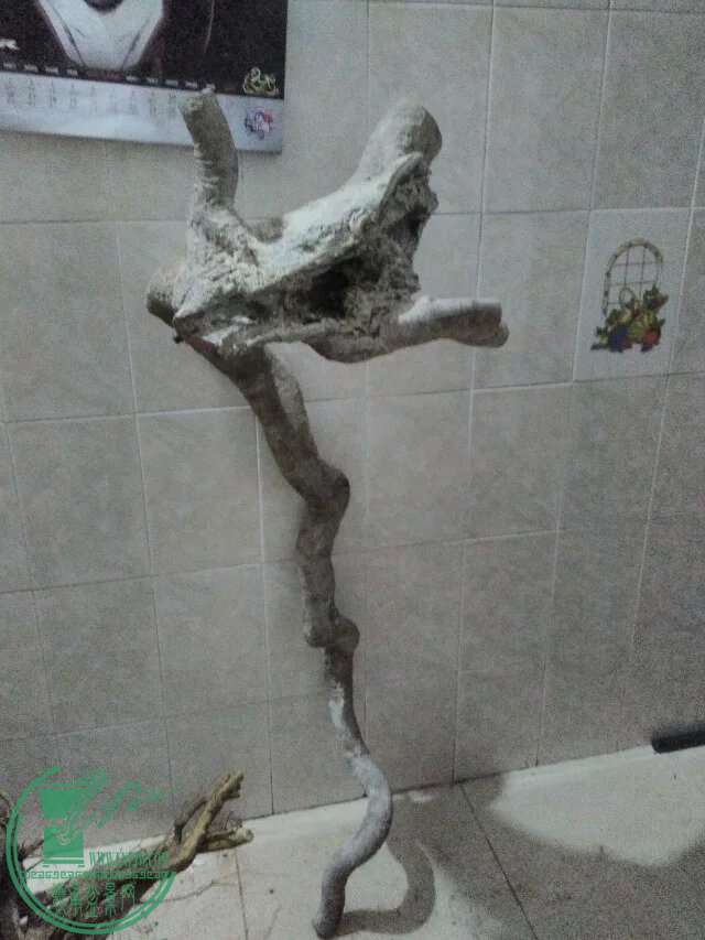 psb95.jpeg