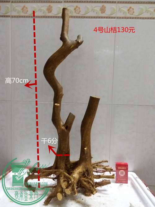 P60304-200438_.jpg