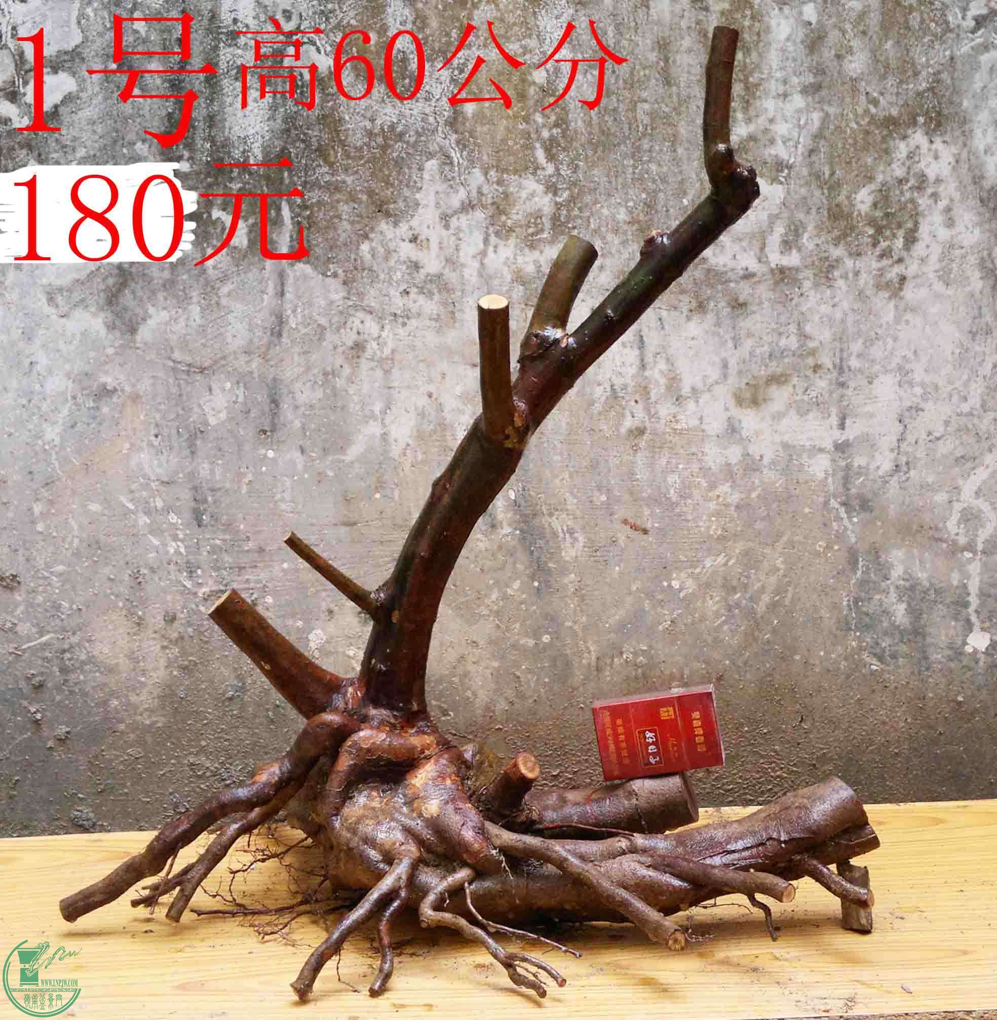 2016030311439.jpg