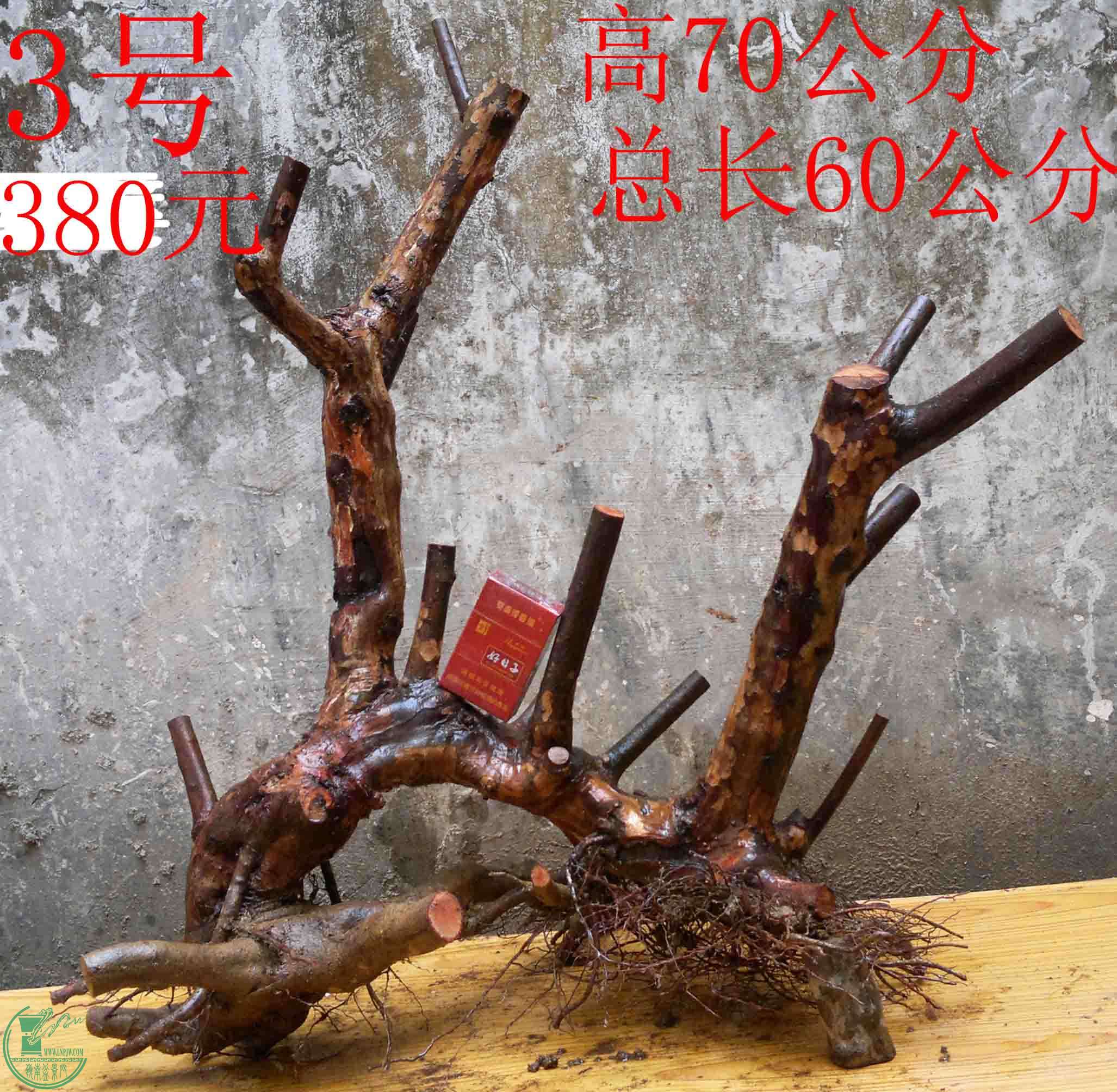 2016030311481.jpg