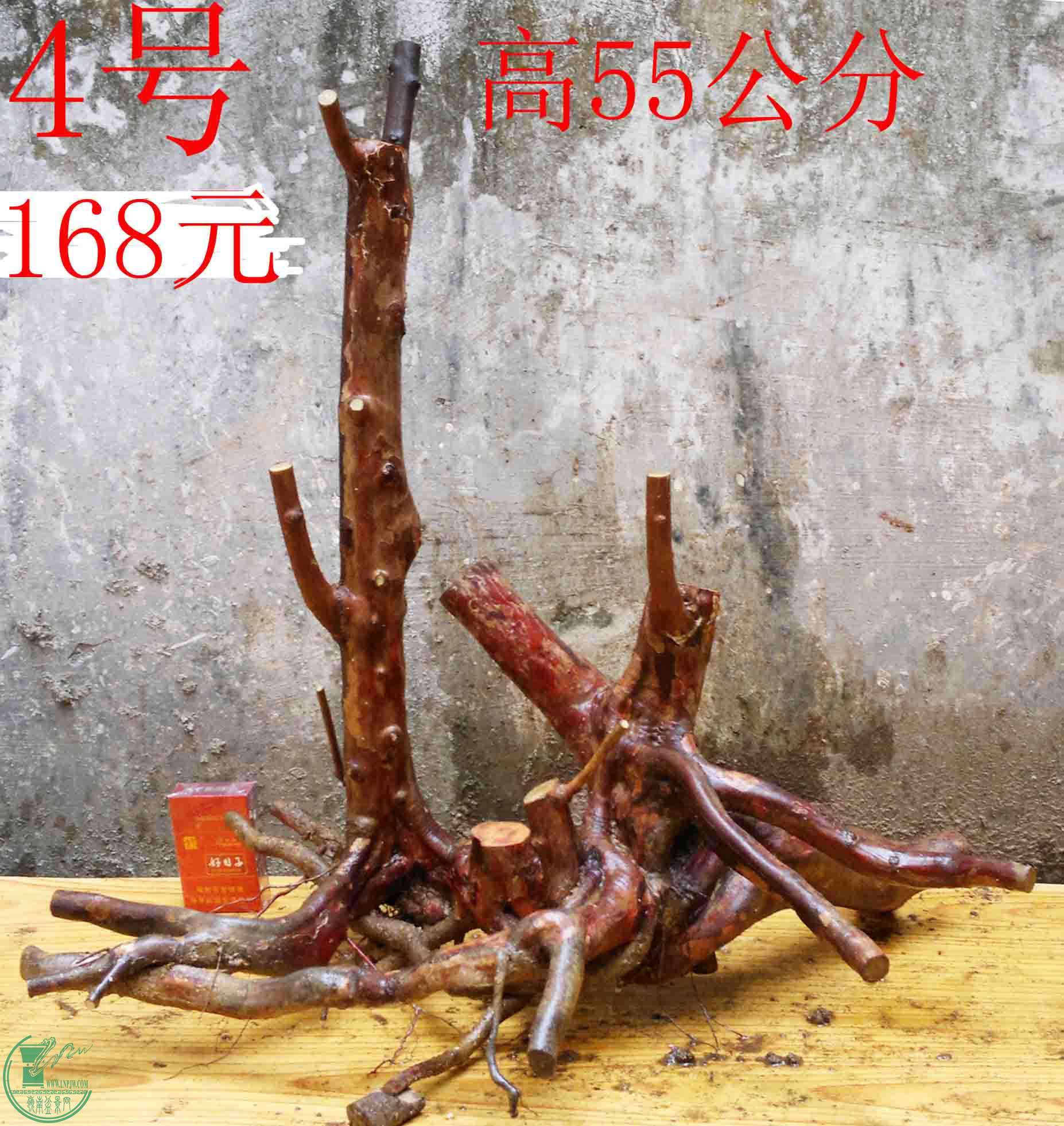 2016030311538.jpg