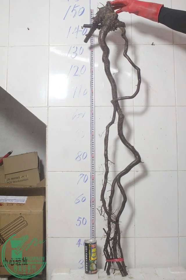 psb (1).jpg