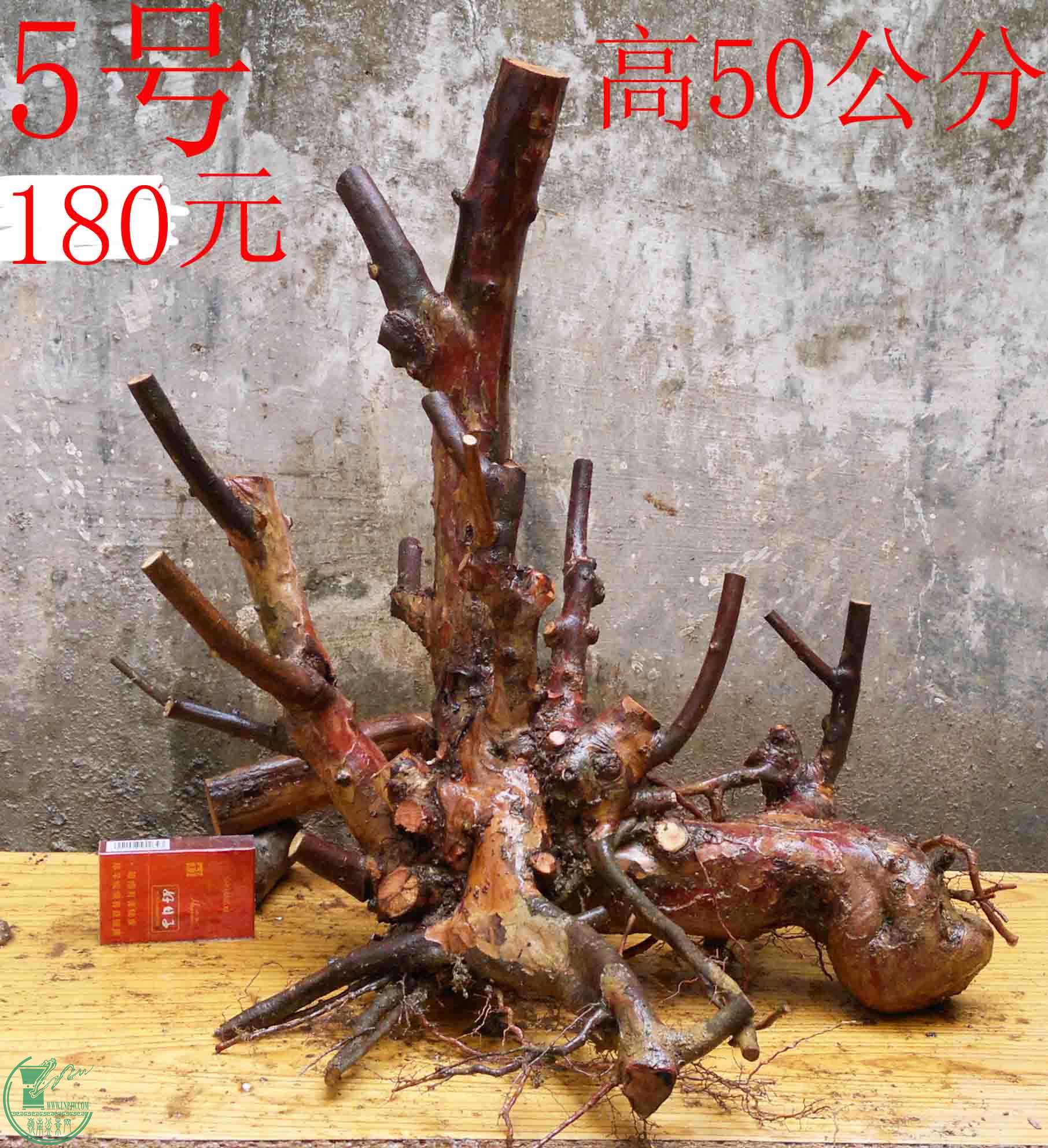 2016030311566.jpg