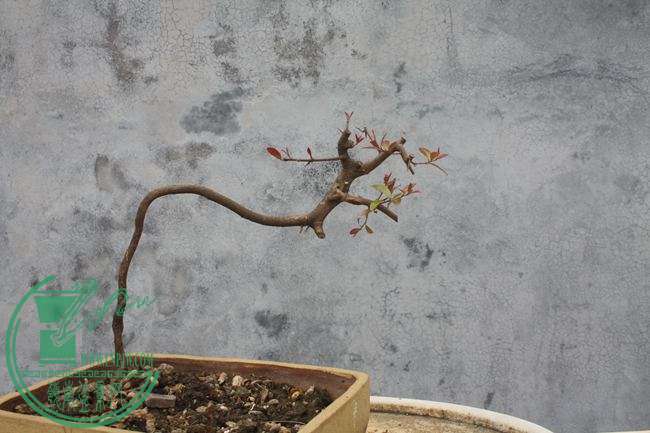 Ƭ20131026ۺ 878.jpg