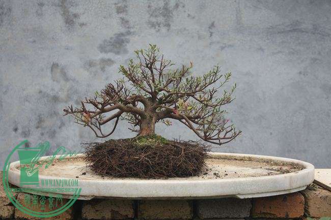 Ƭ20131026ۺ 889.jpg