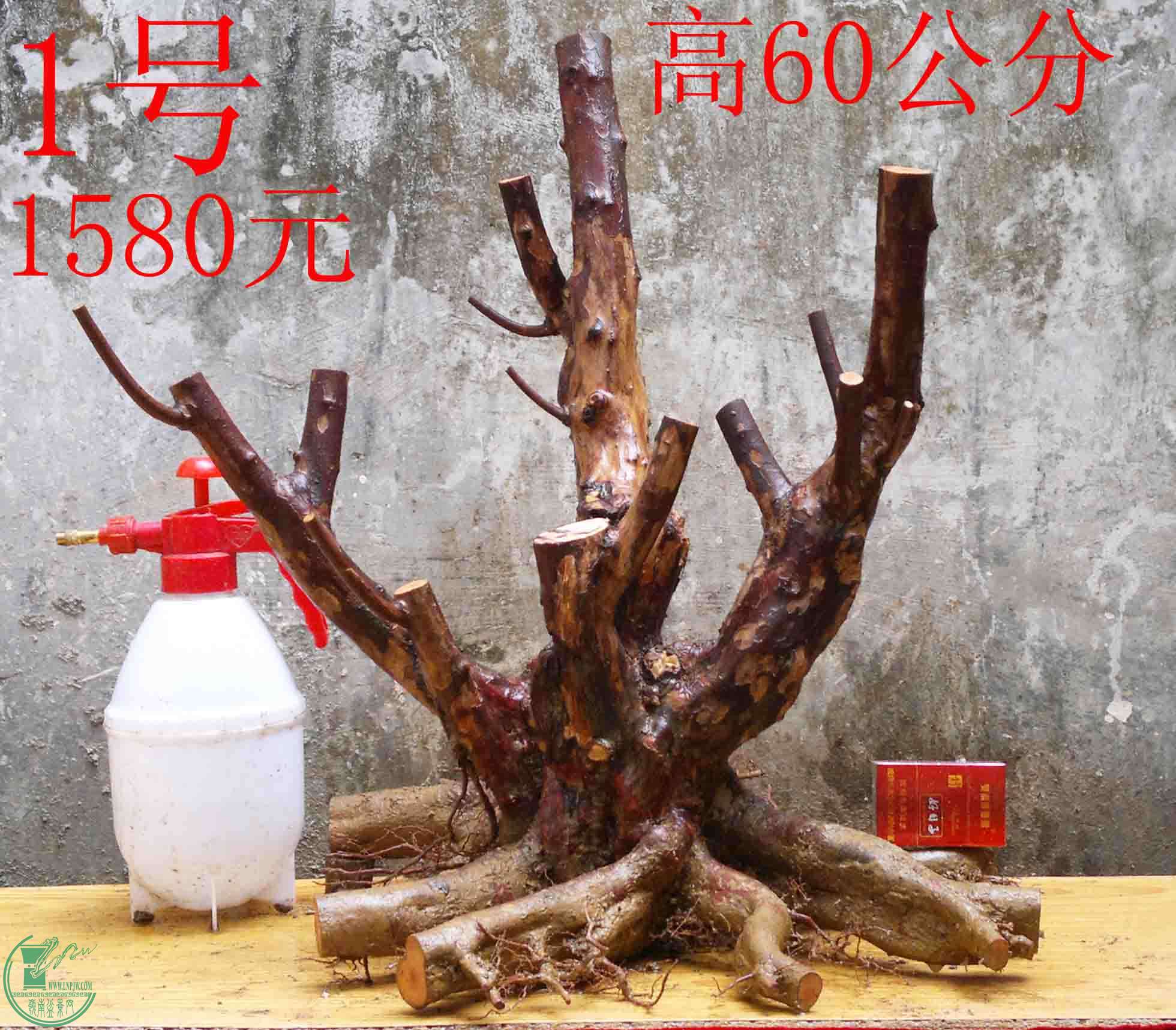 2016030511691.jpg