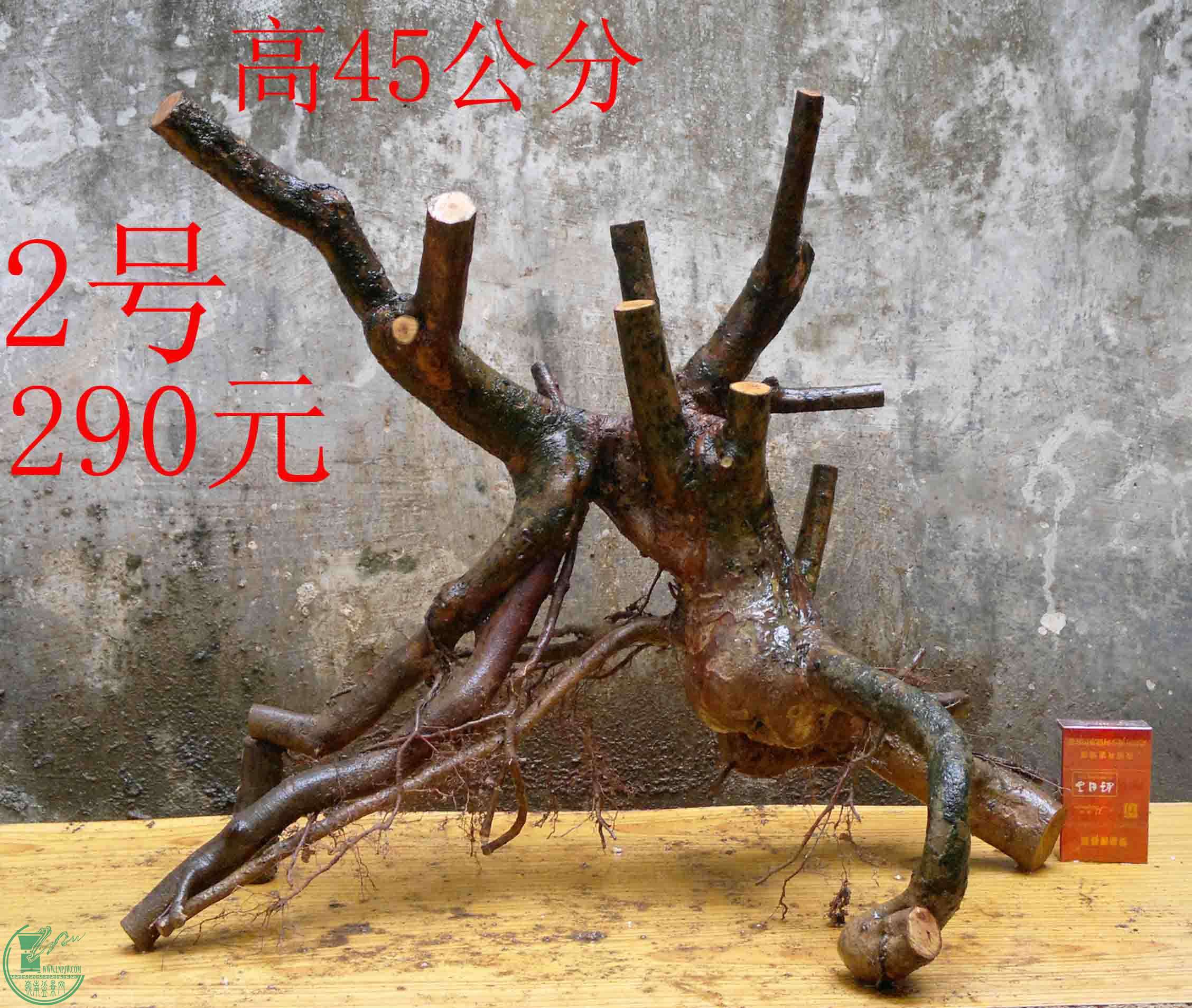 2016030511719.jpg