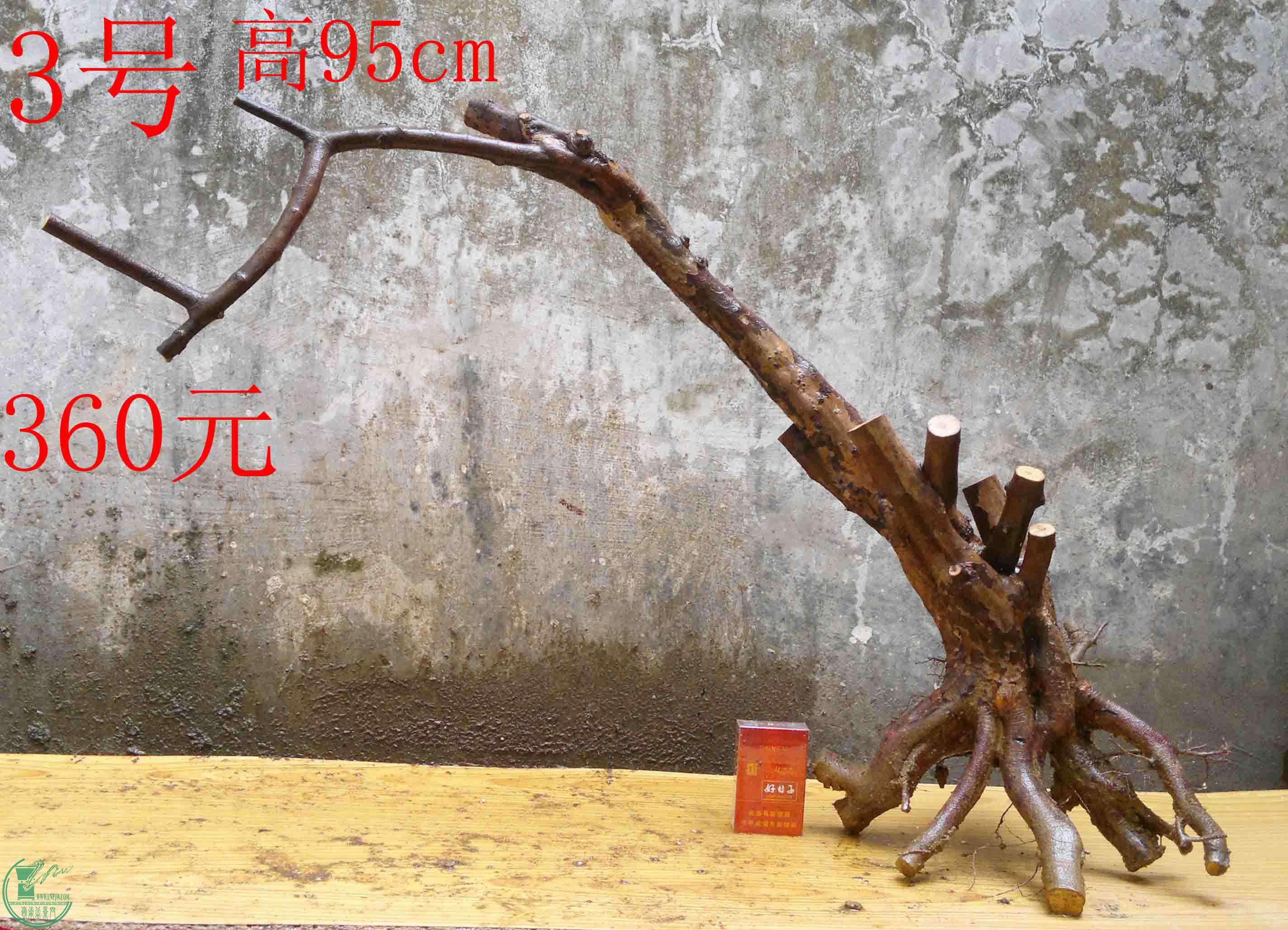 2016030511750.jpg