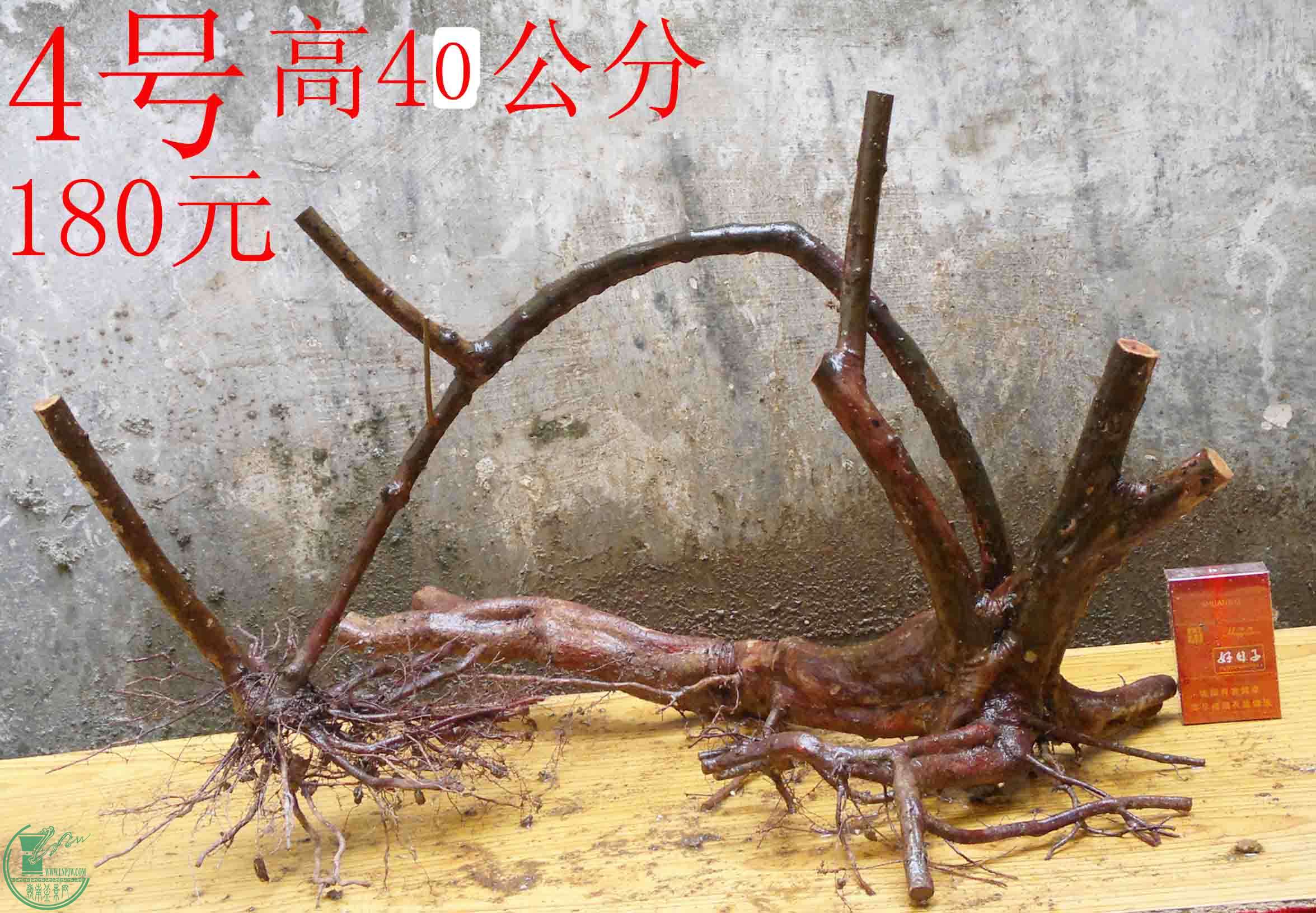 2016030511777.jpg
