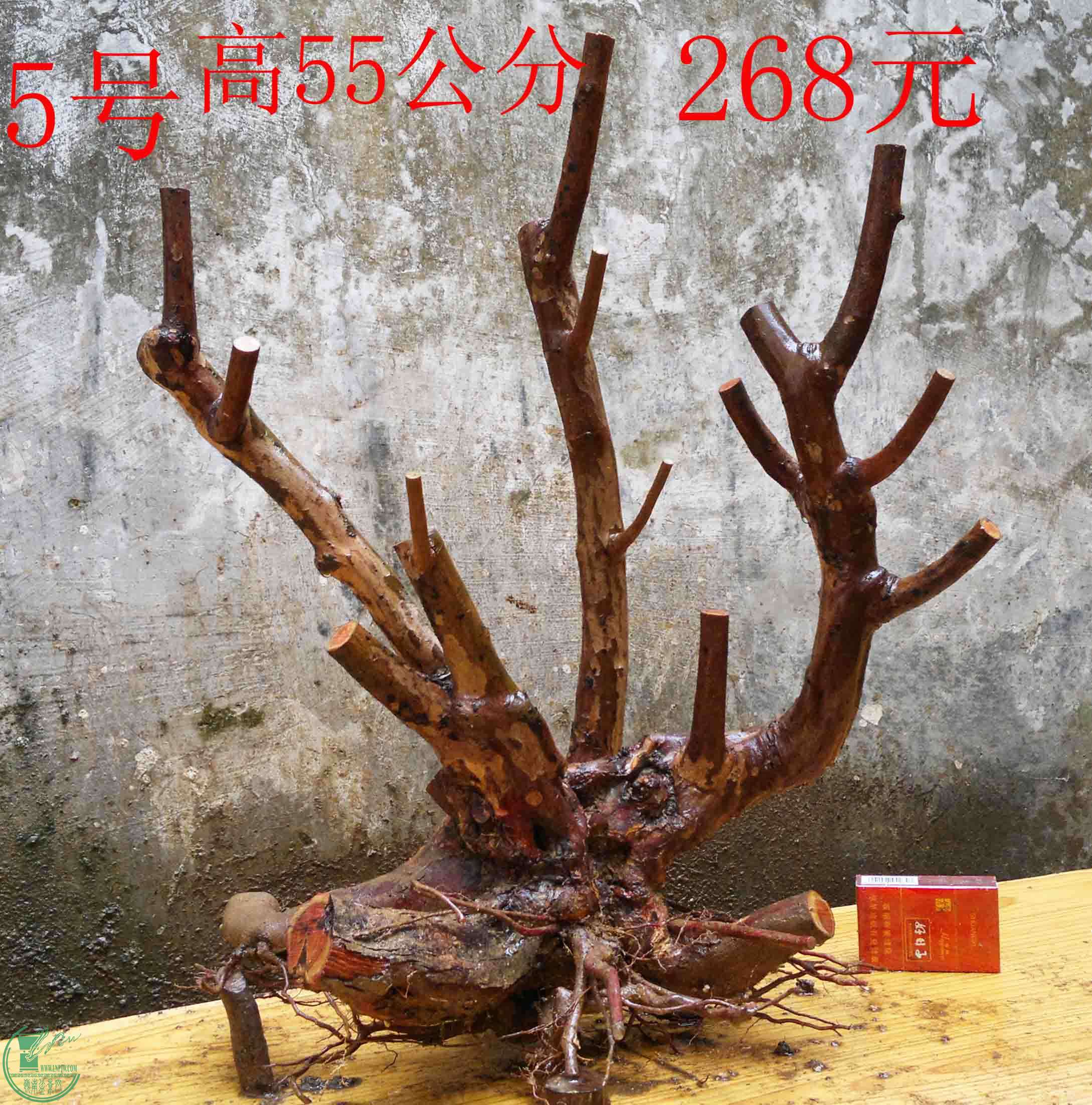2016030511807.jpg
