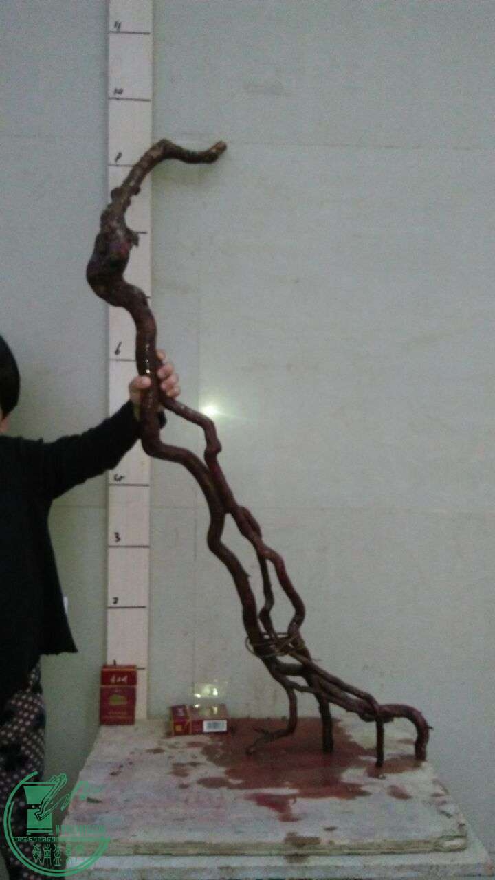 QQͼƬ20160305190341.jpg