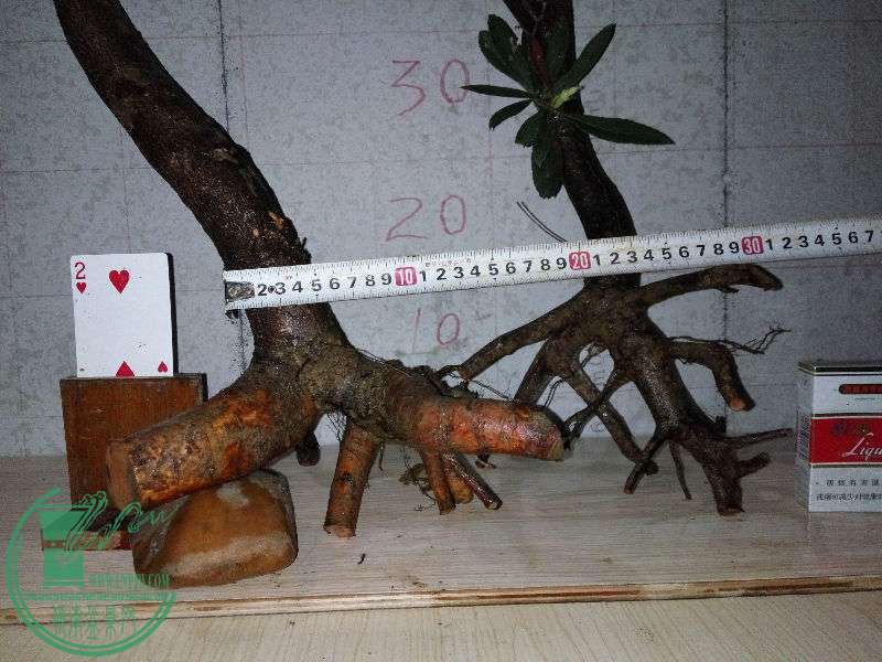 756496