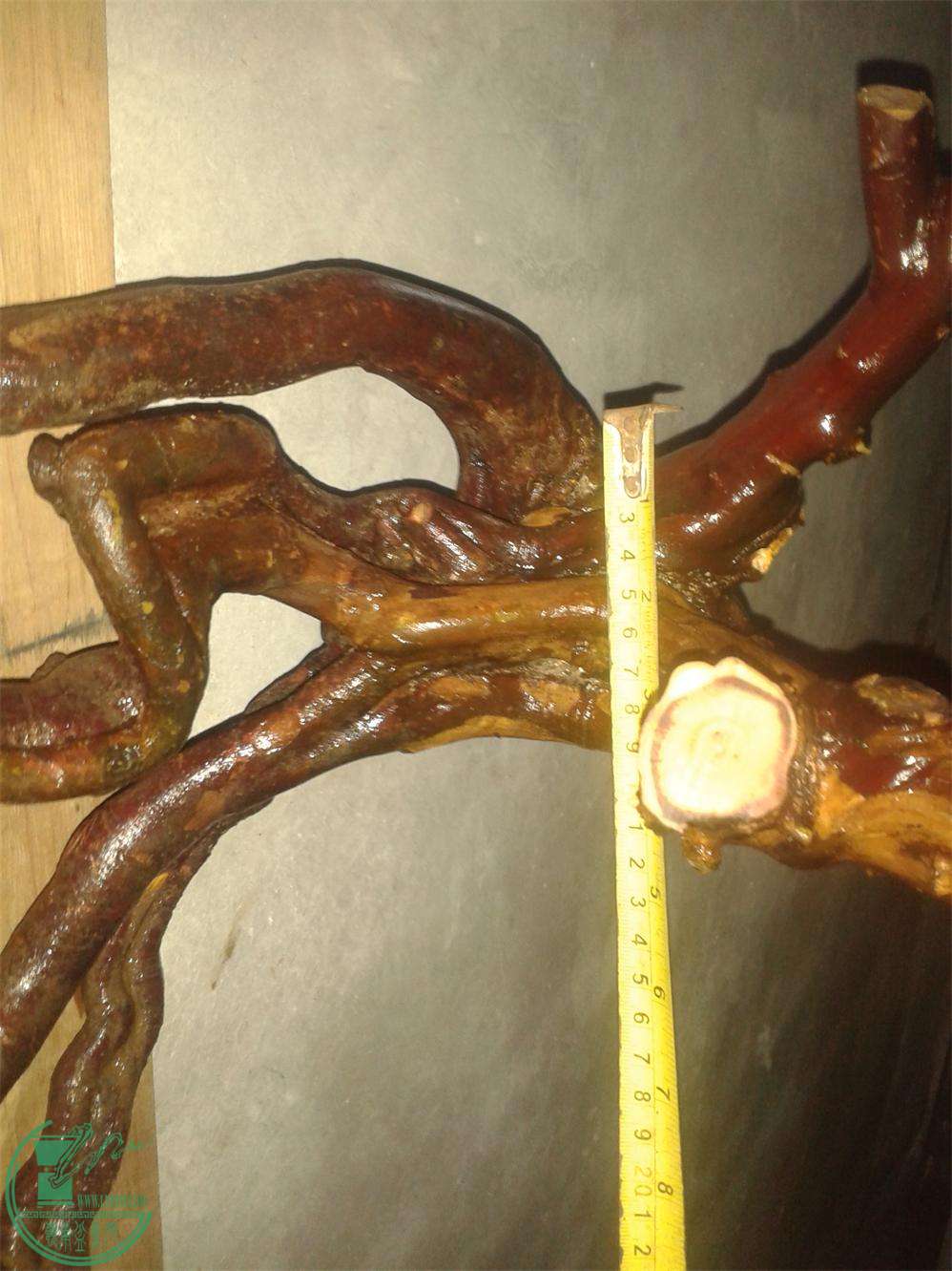 20160305_185319.jpg