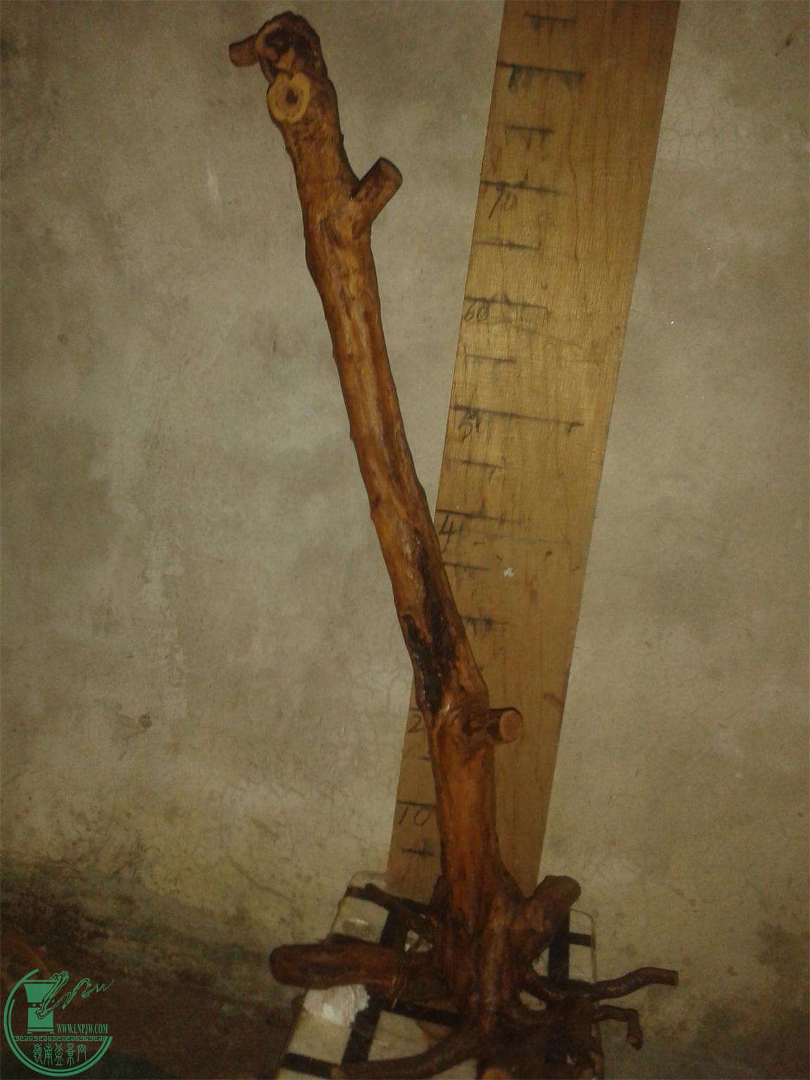 20160305_185844.jpg