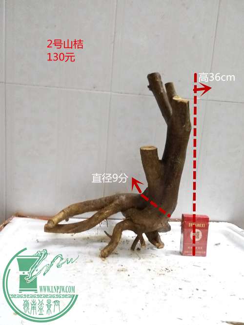 P60305-202630_.jpg