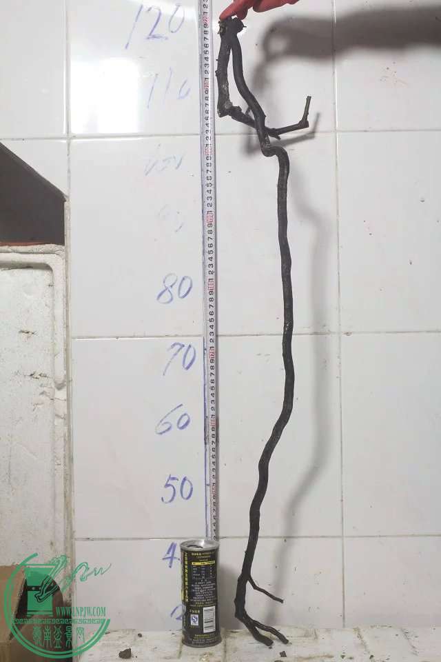 psb (21).jpg