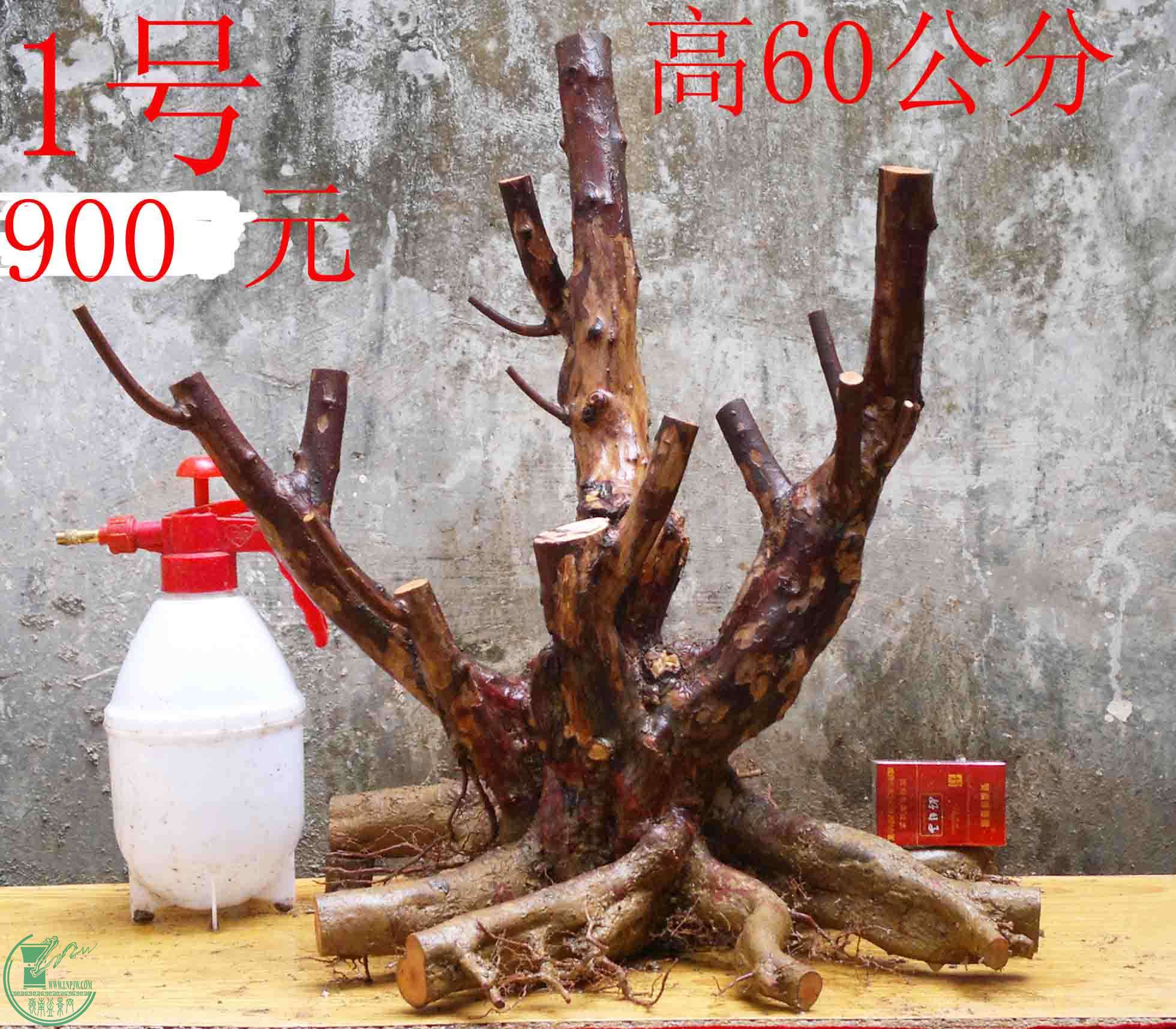 2016030511691.jpg