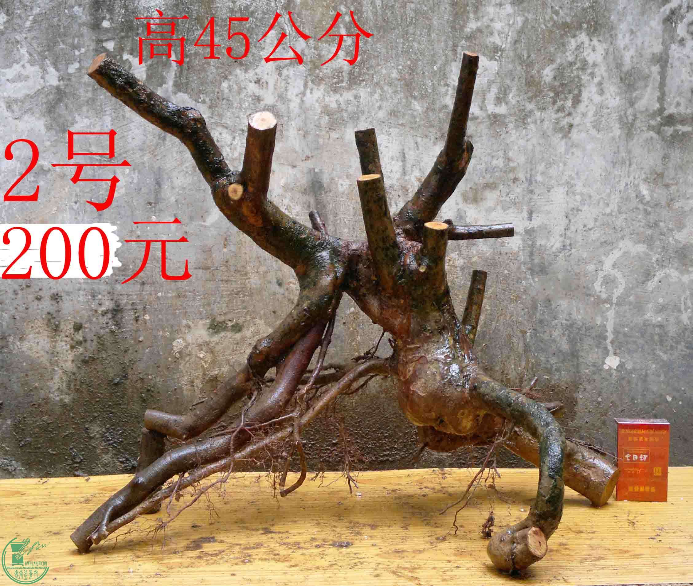 2016030511719.jpg