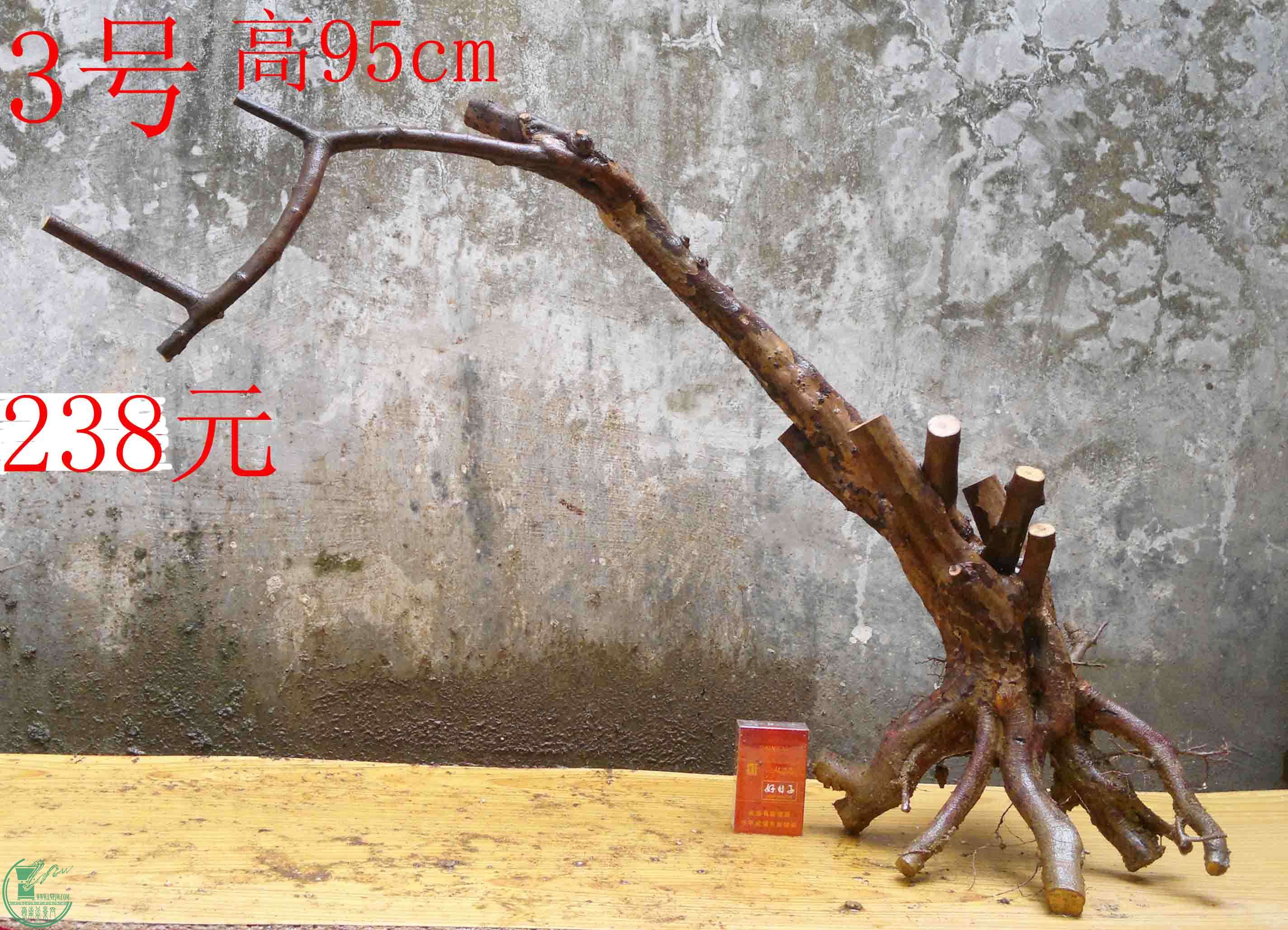2016030511750.jpg