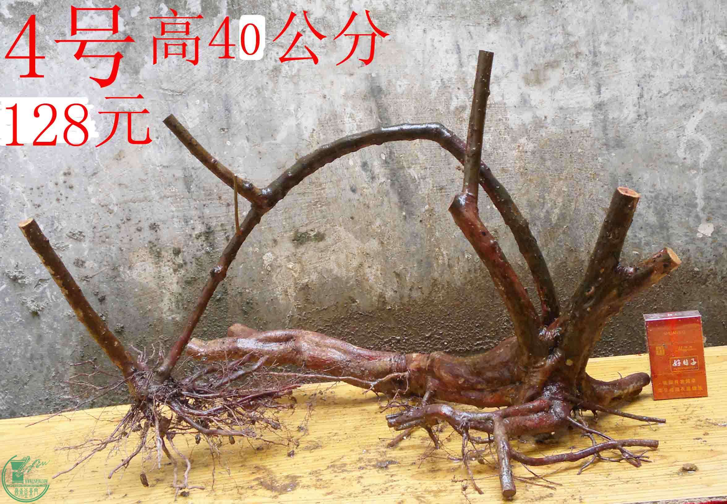 2016030511777.jpg