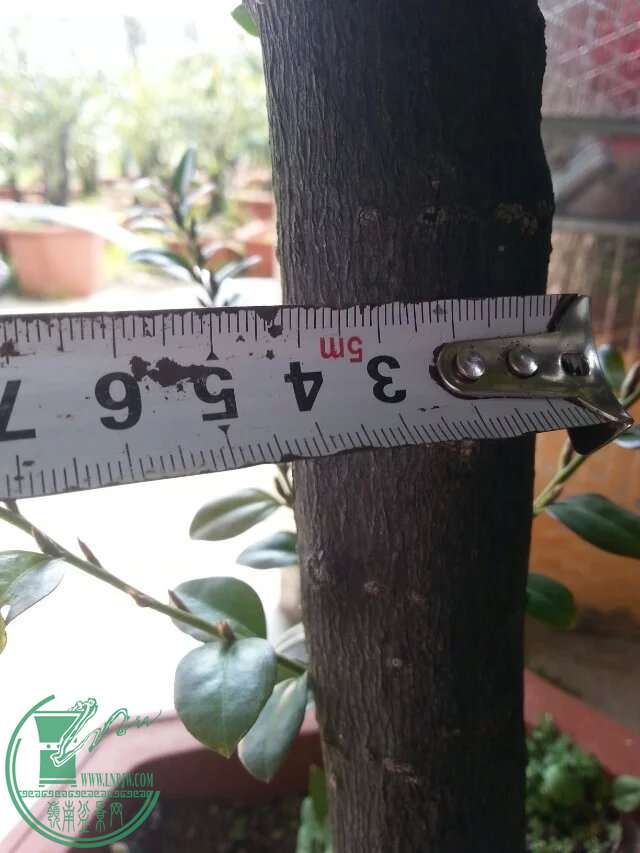 psb5.jpeg