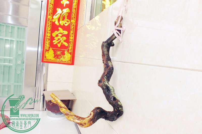 DSCF2712.JPG