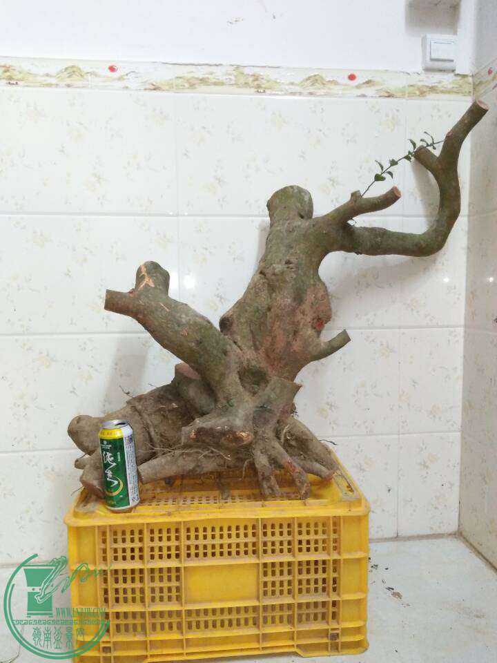 SD)5TNB7W9)~O247JUTH.jpg