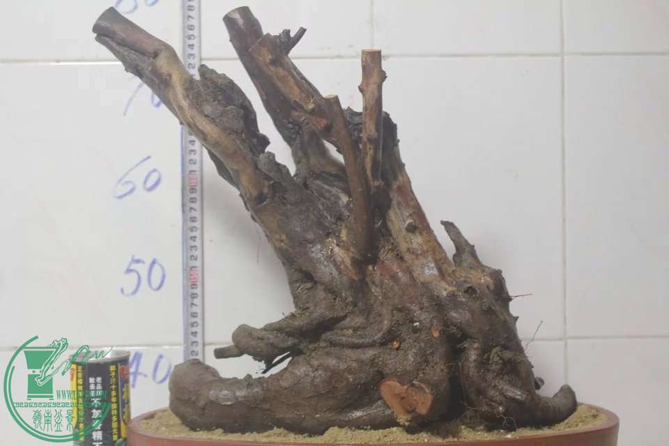 psb (9).jpg