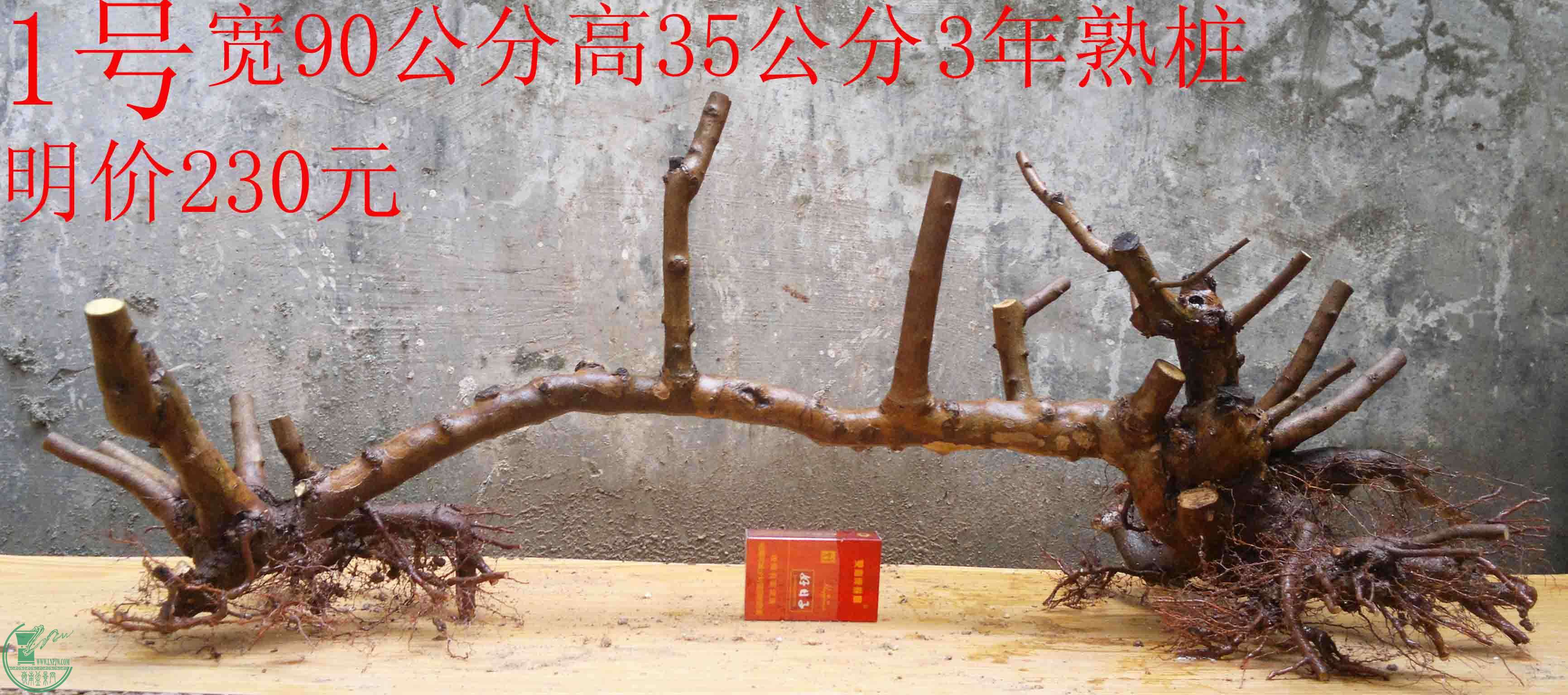 2016030711837.jpg