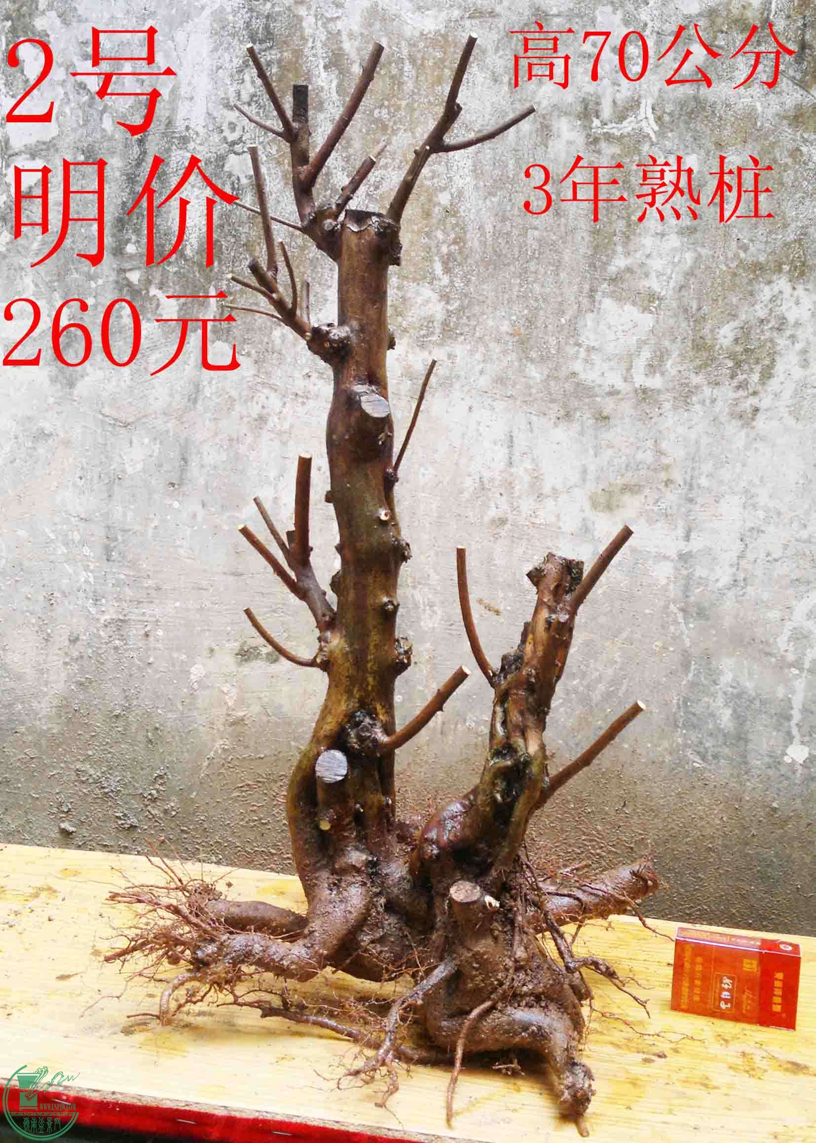 2016030711860.jpg