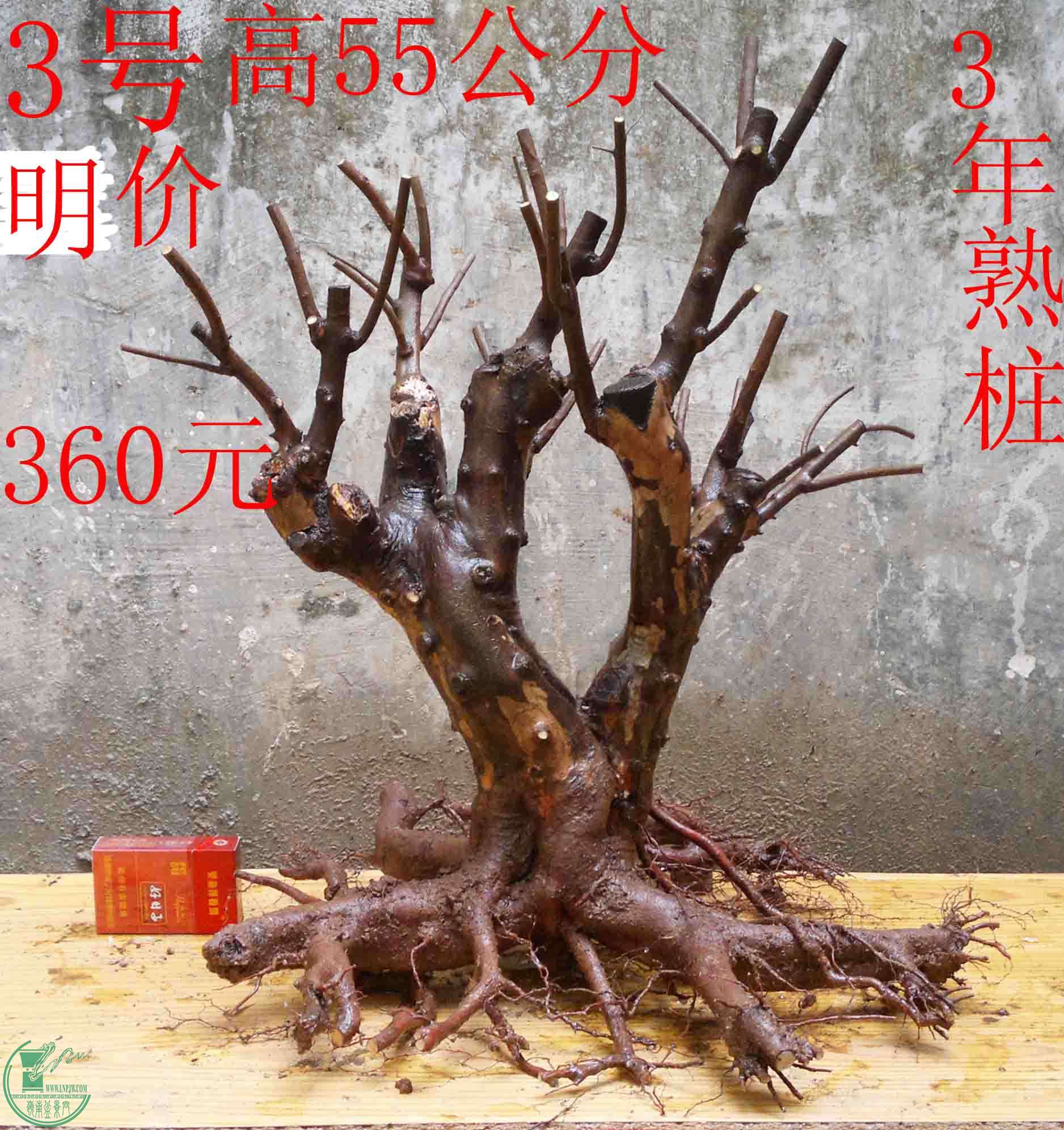 2016030711889.jpg