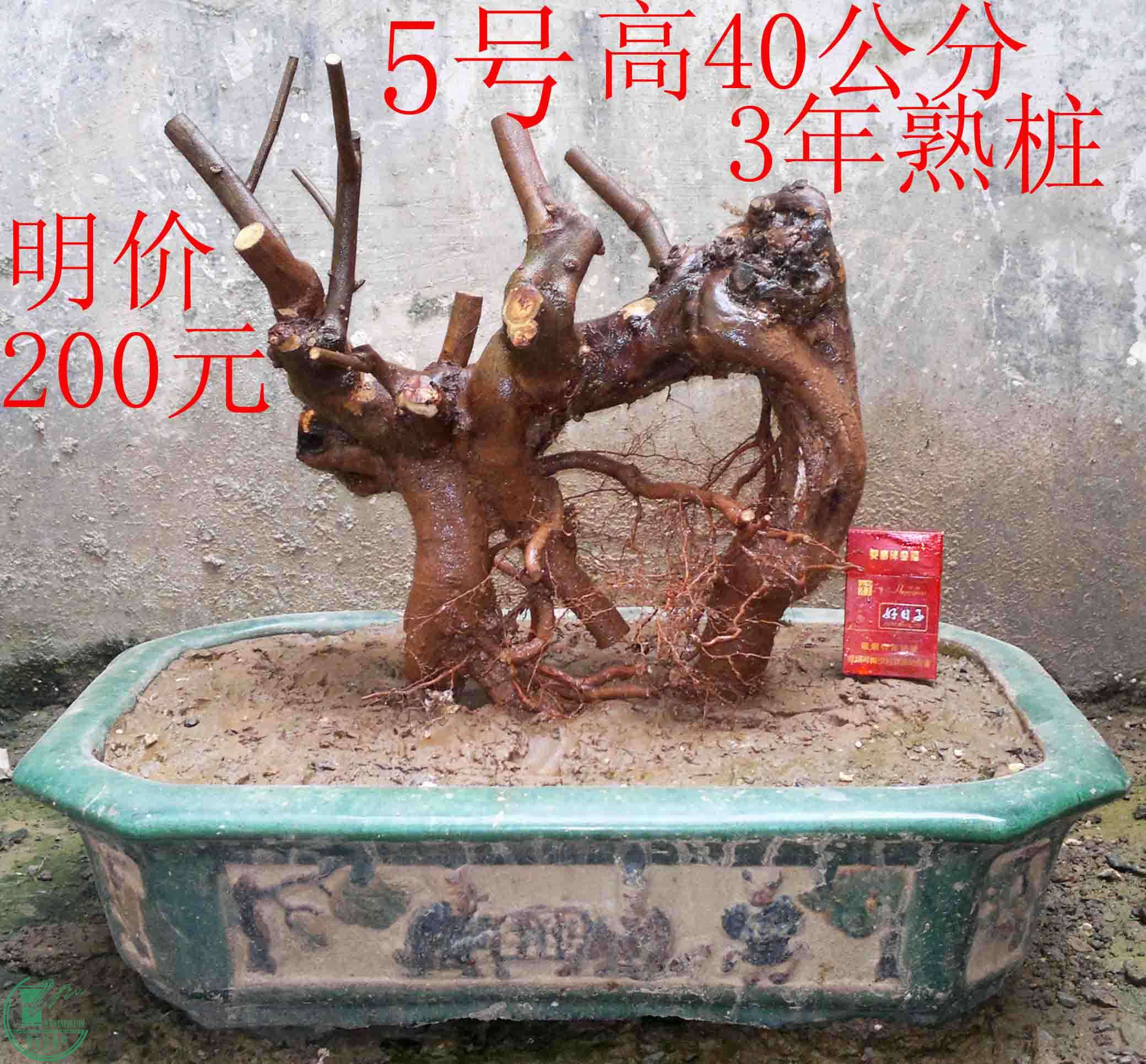 2016030711964.jpg