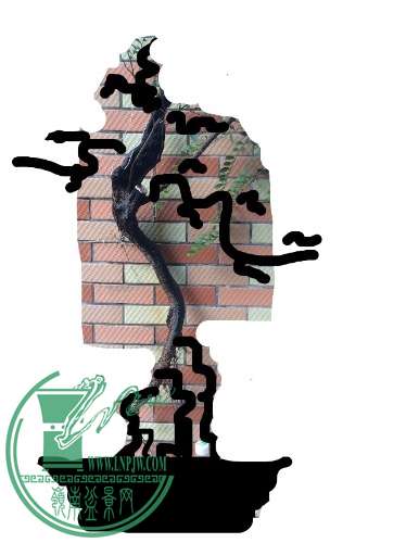 image.jpg