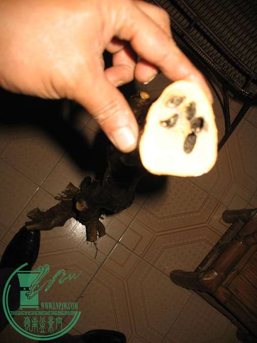 051.JPG