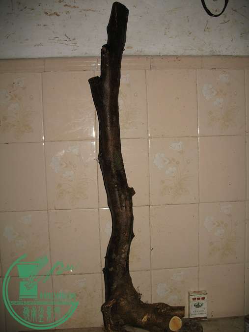 050.JPG