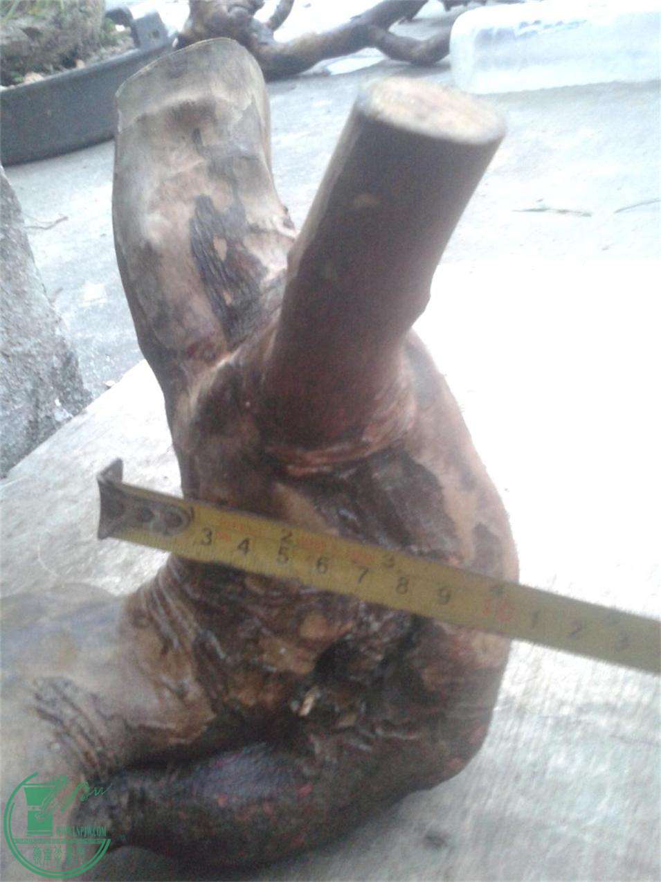 20160307_183705.jpg