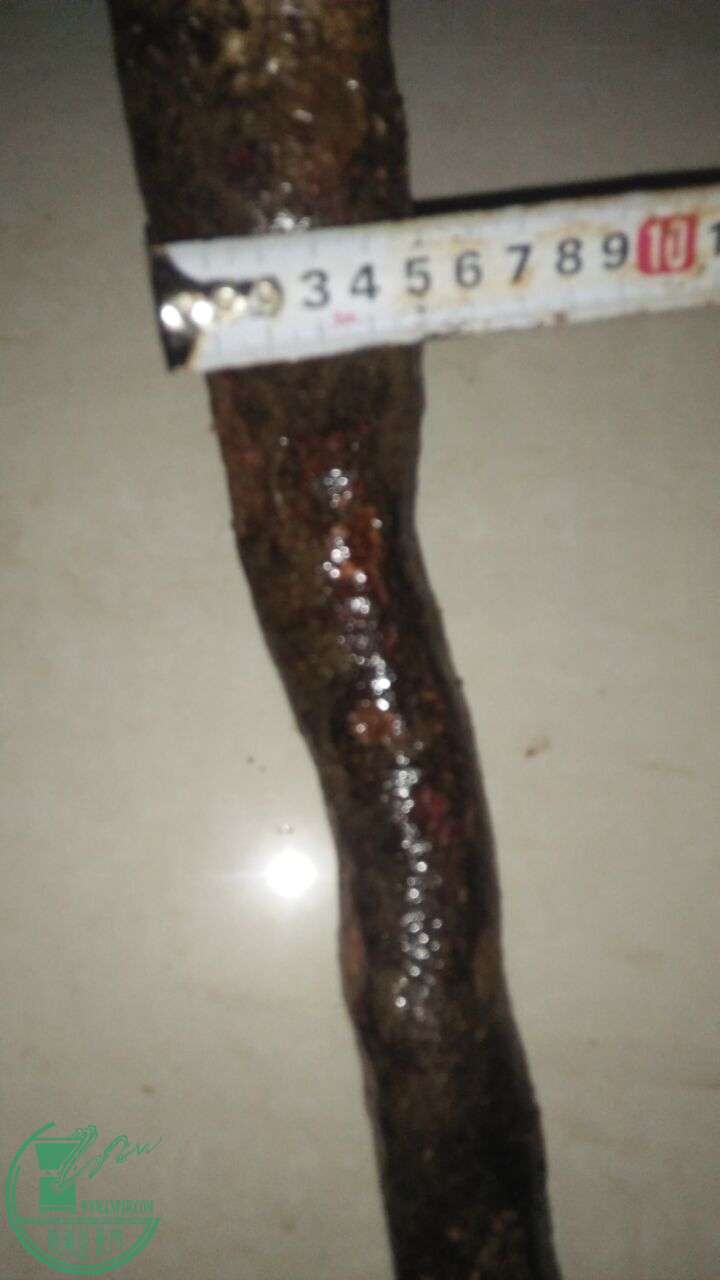 QQͼƬ20160307202129.jpg