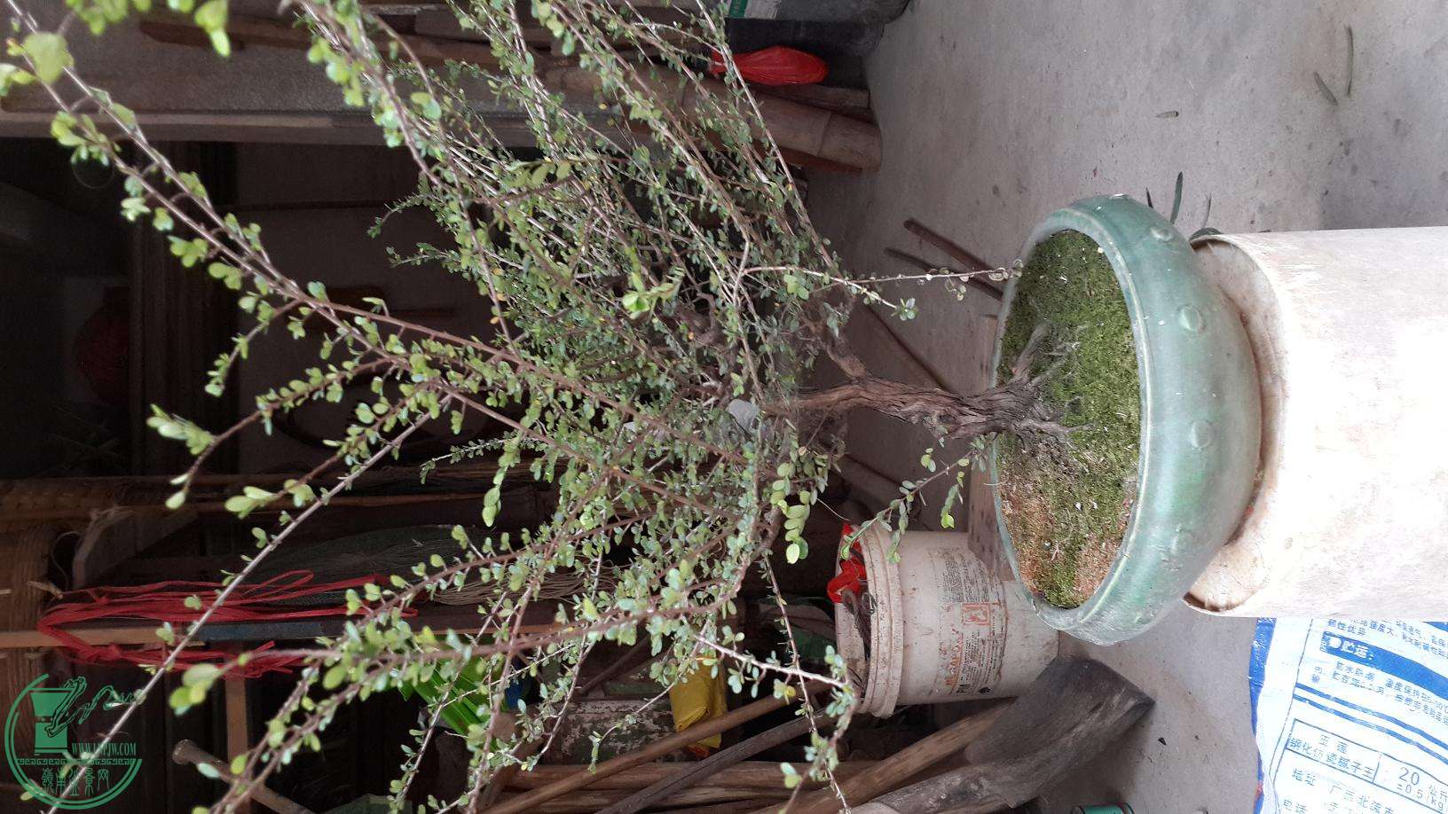 20160307_073030.jpg